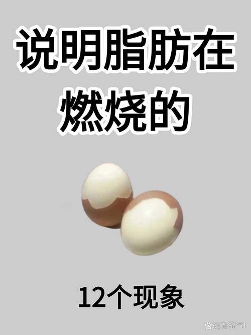 什么脂肪多
