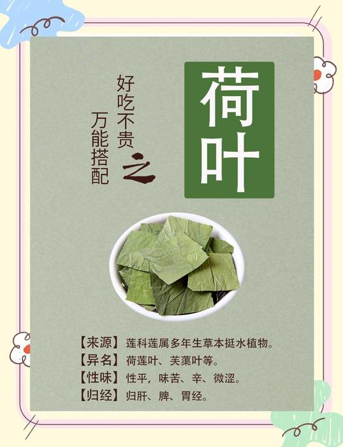 荷叶和什么搭配最减肥