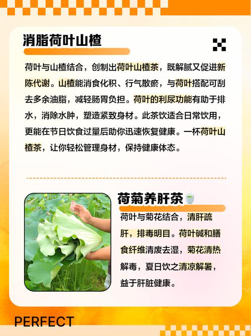 荷叶和什么搭配最减肥