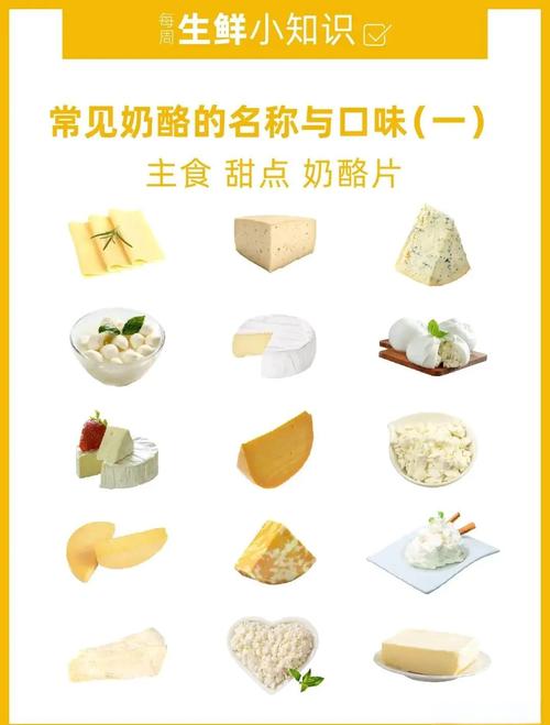 红酒奶酪减肥用什么奶酪