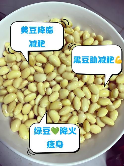 什么豆类减肥