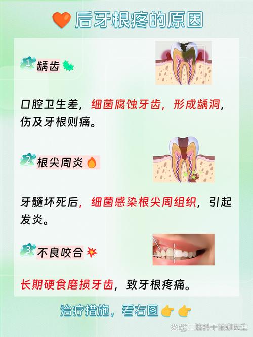 牙根为什么会发炎