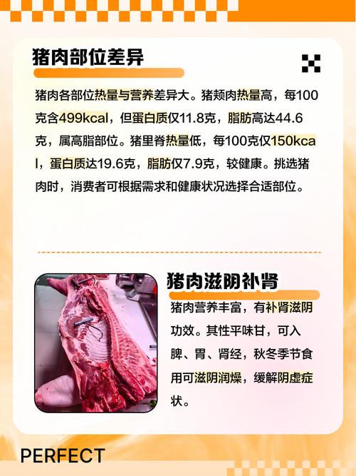 肉里有什么营养