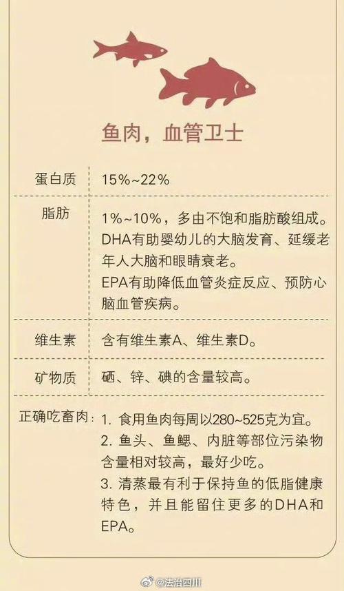 肉里有什么营养