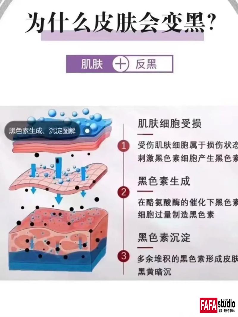 什么是细胞美容