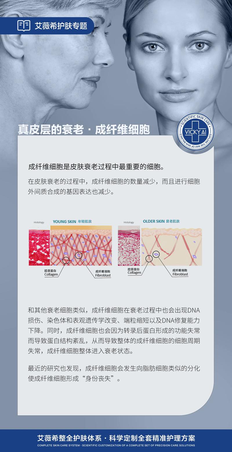什么是细胞美容