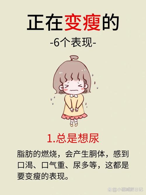 为什么生理期不能减肥