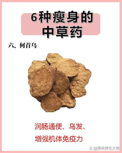 什么草药可以减肥图片