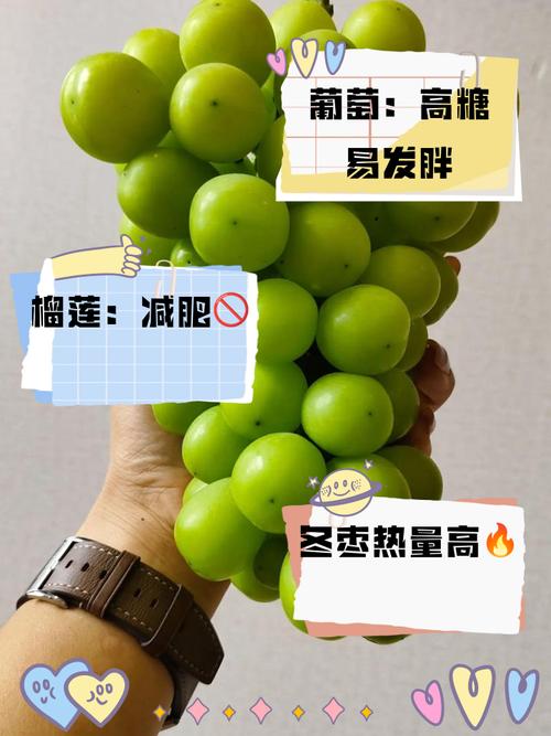 减肥期不能吃什么水果