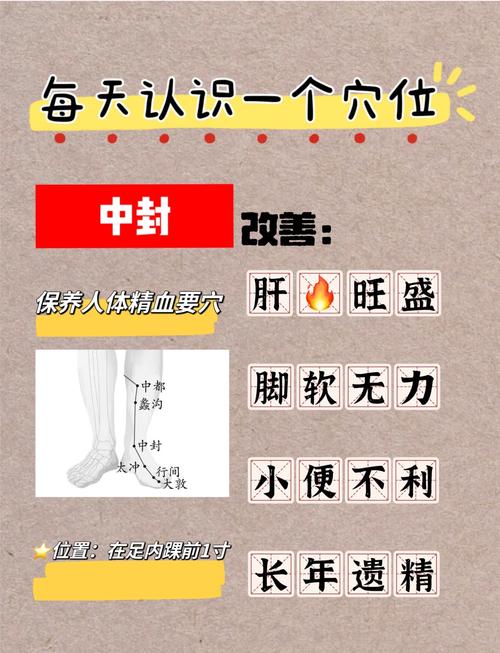封血减肥原理是什么意思