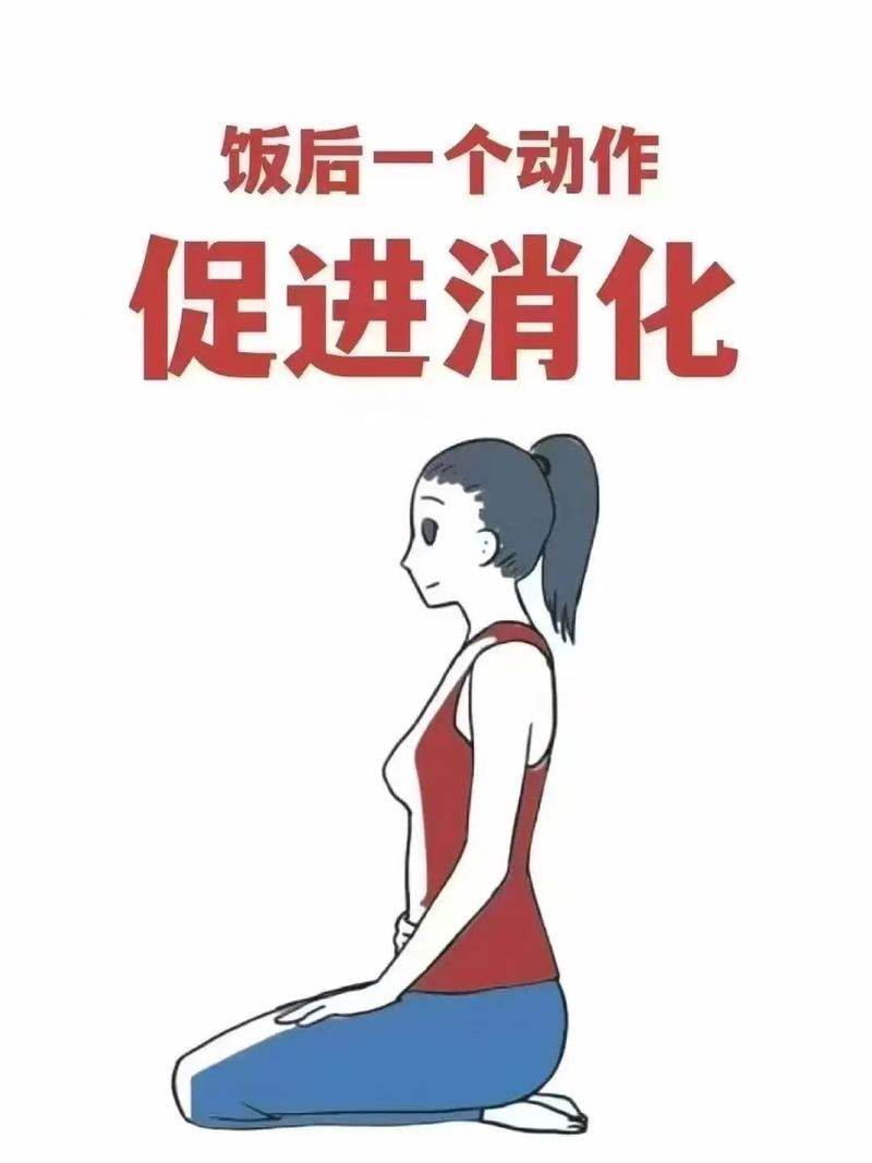 饭后什么动作能减肥