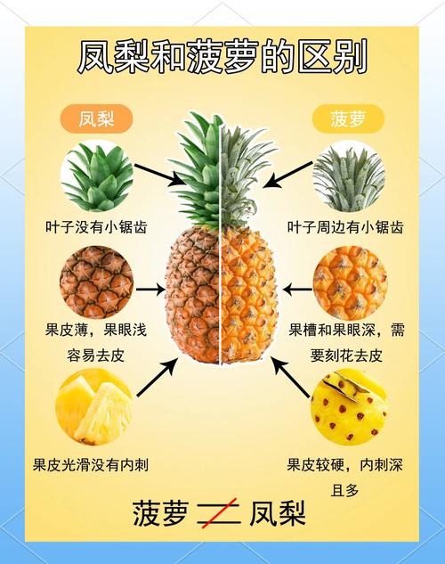 菠萝与什么相克