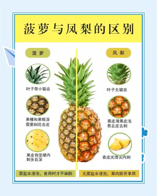 菠萝与什么相克