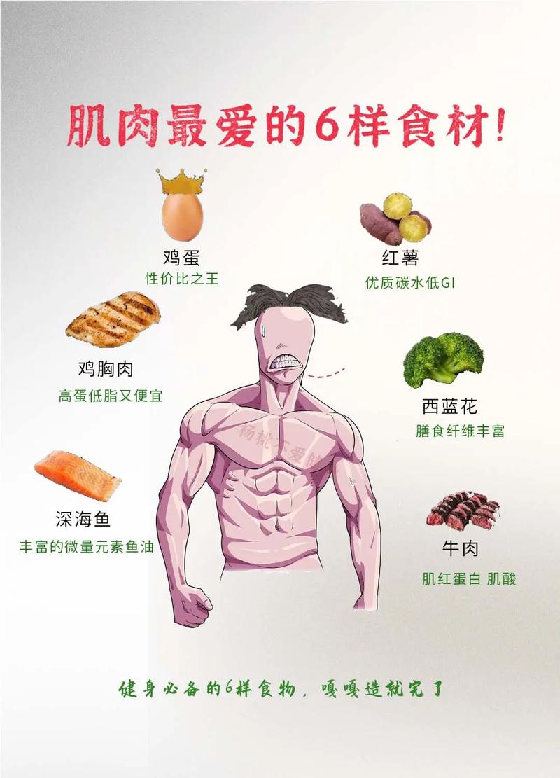 吃什么东西长肌肉