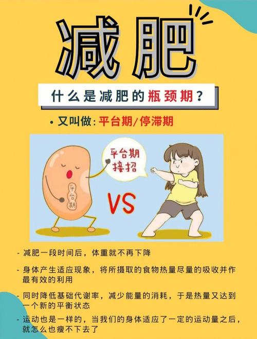 减肥瓶颈期什么状态