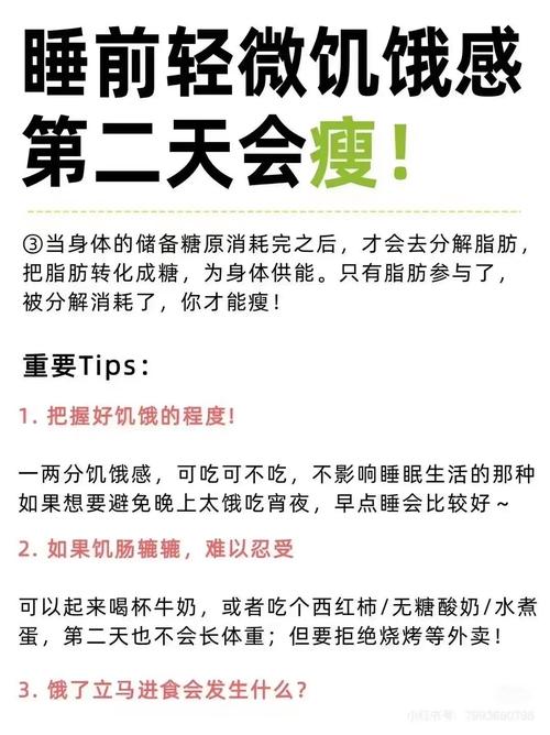 减肥饿的快什么原因