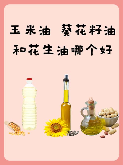 减肥餐用什么油