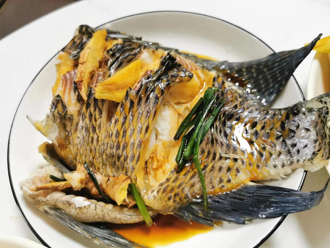 减肥餐用什么油