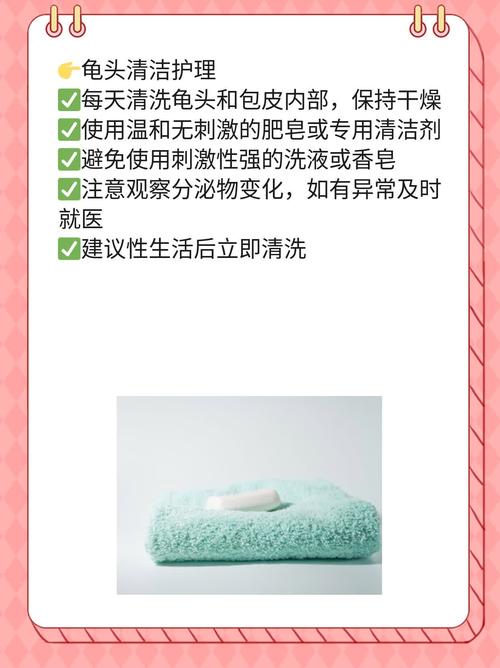 什么的分泌