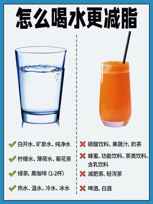 喝水减肥要喝什么水