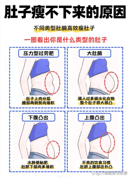 胖肚子大是什么原因