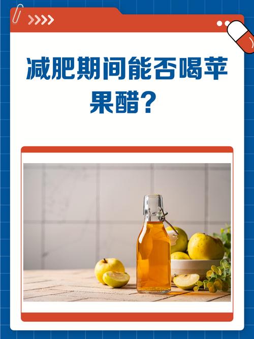 喝什么醋减肥最好