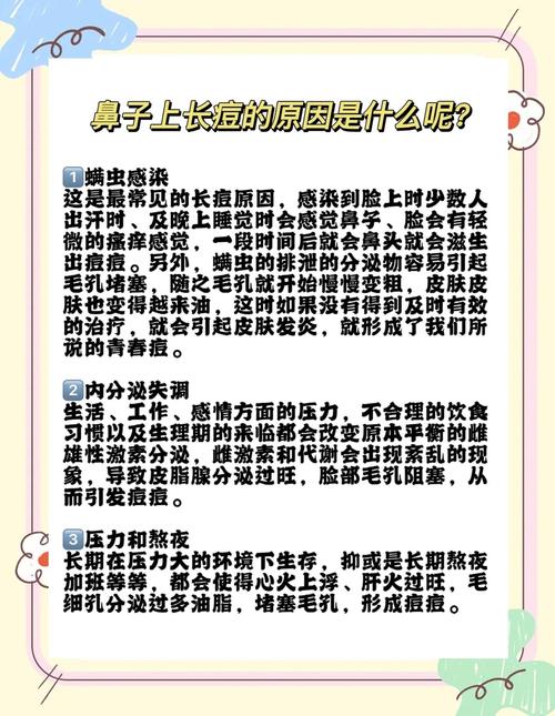 鼻长痘痘是什么原因