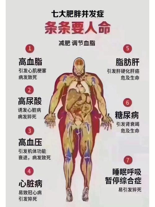 太胖容易得什么病