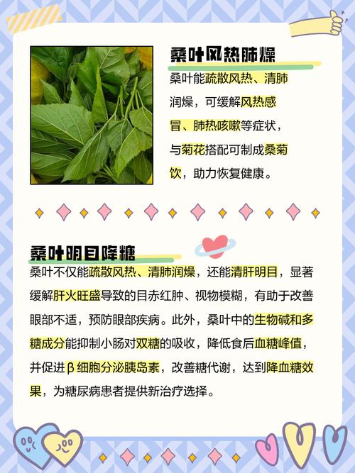 吃桑叶有什么功效