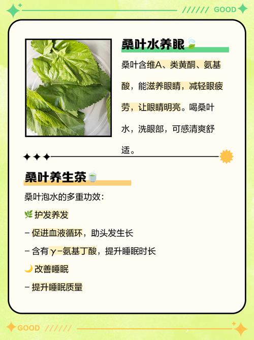 吃桑叶有什么功效