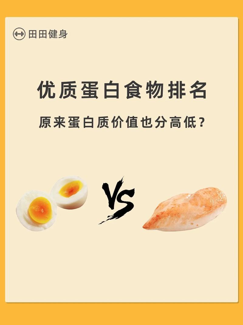 什么东西补充蛋白质
