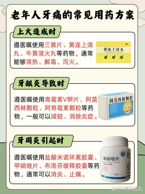 牙齿松动了吃什么药