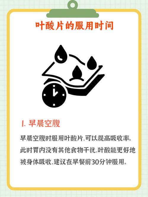 叶酸每天什么时候吃