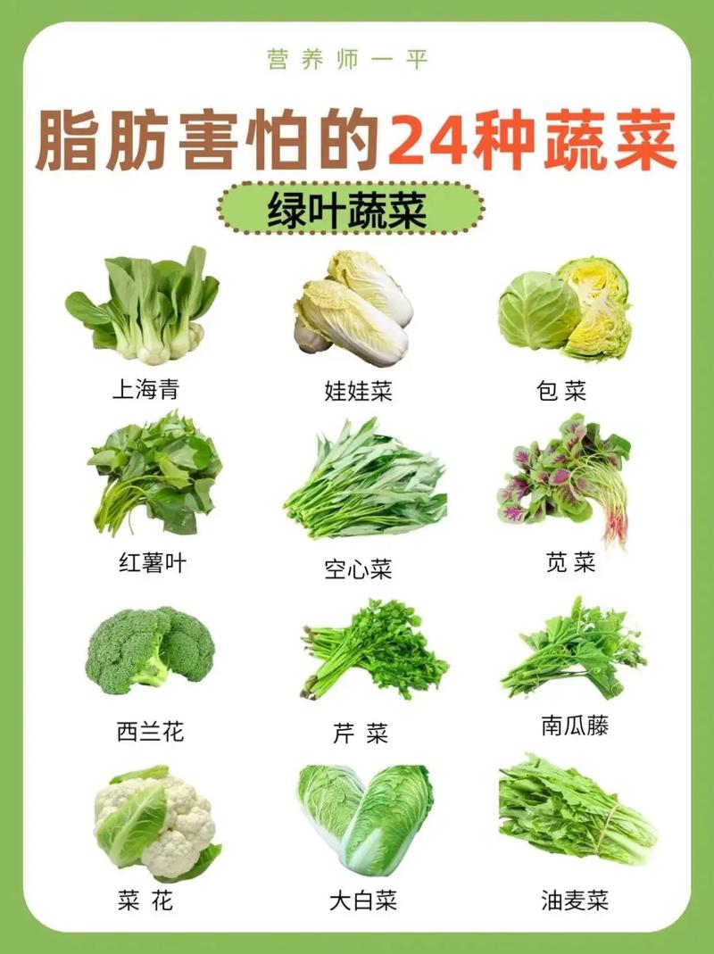 生吃什么蔬菜减肥
