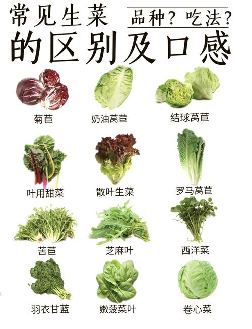 生吃什么蔬菜减肥