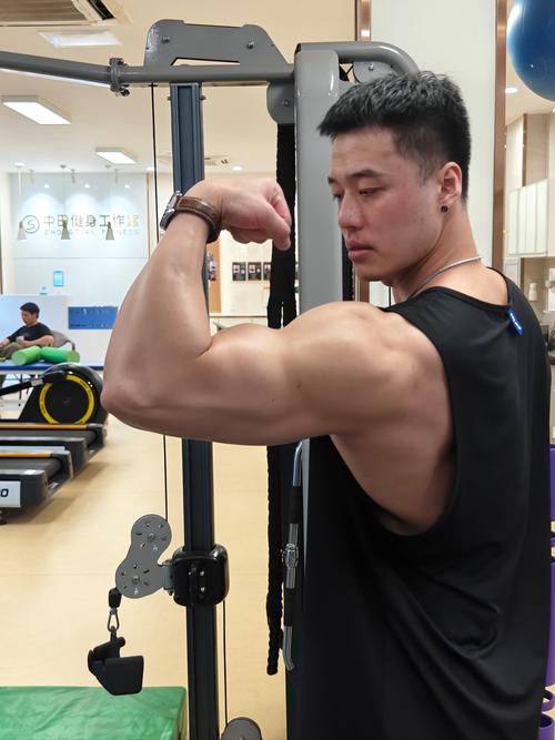什么叫麒麟臂