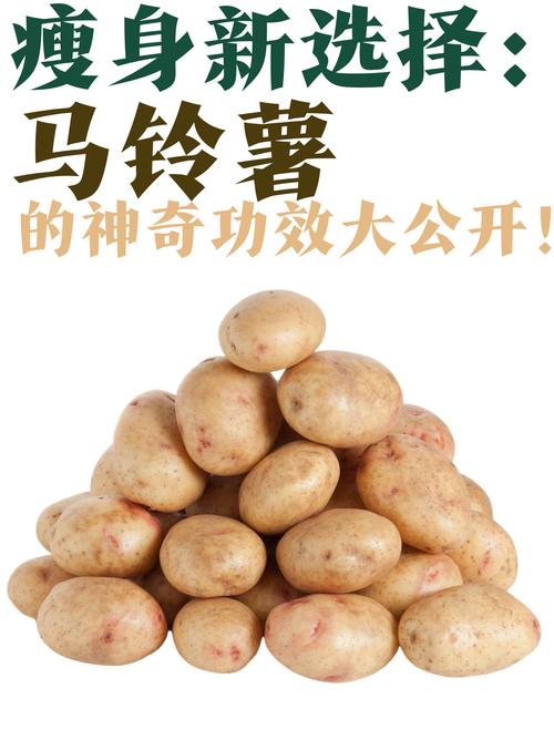 什么样的土豆能减肥