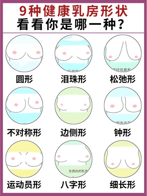 正常乳房是什么样的