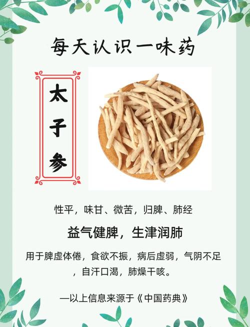 减肥的人适合吃什么参