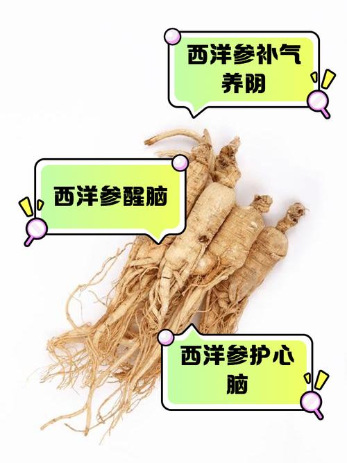 减肥的人适合吃什么参