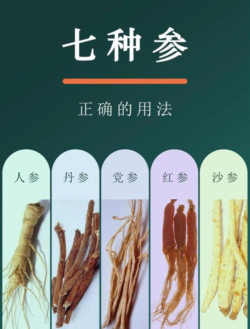减肥的人适合吃什么参