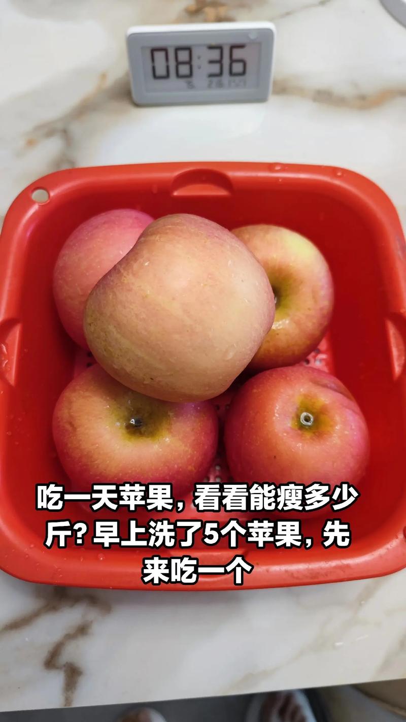 什么时间吃苹果减肥