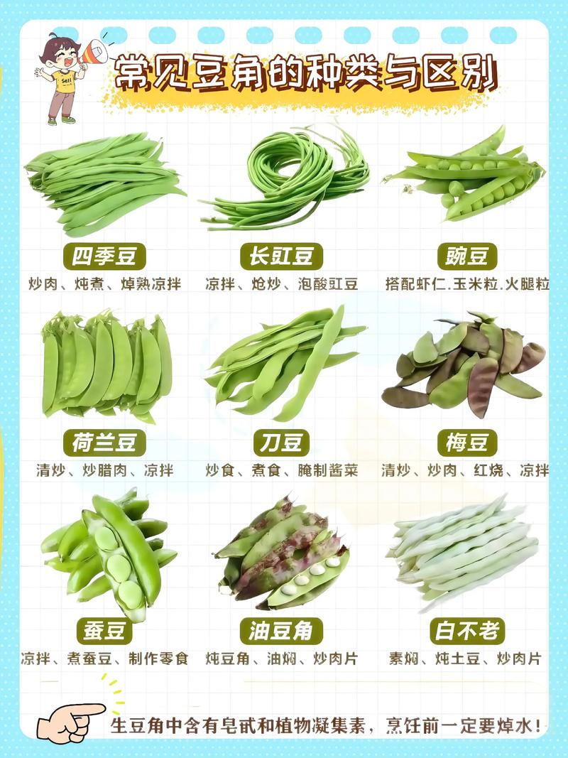 减肥为什么不能吃江豆角