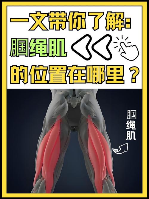 大腿肌肉有什么用