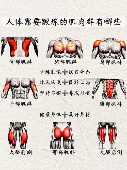 体雕是什么原理减肥塑形的