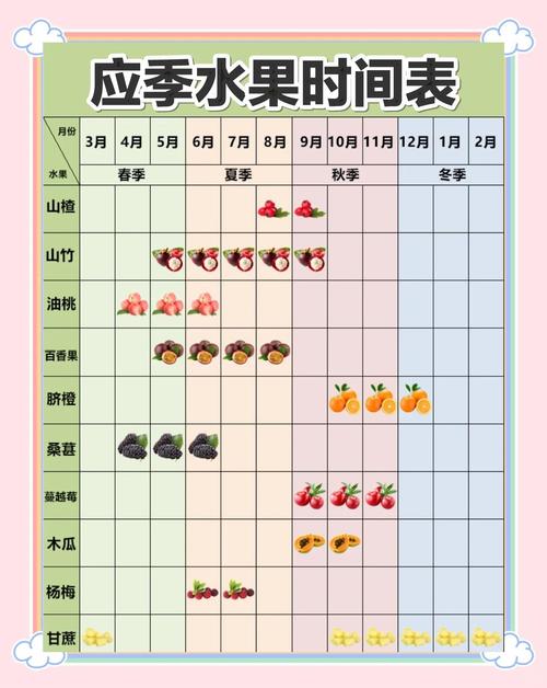 水果什么时间吃帮助减肥