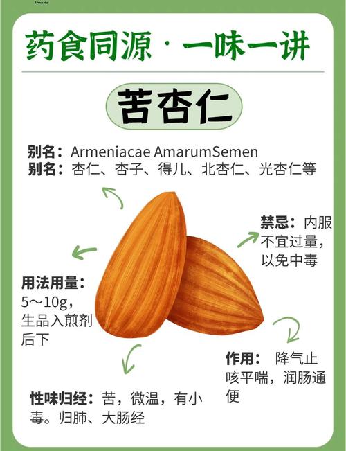 什么杏仁吃了可以减肥
