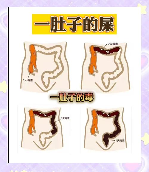 什么叫清肠