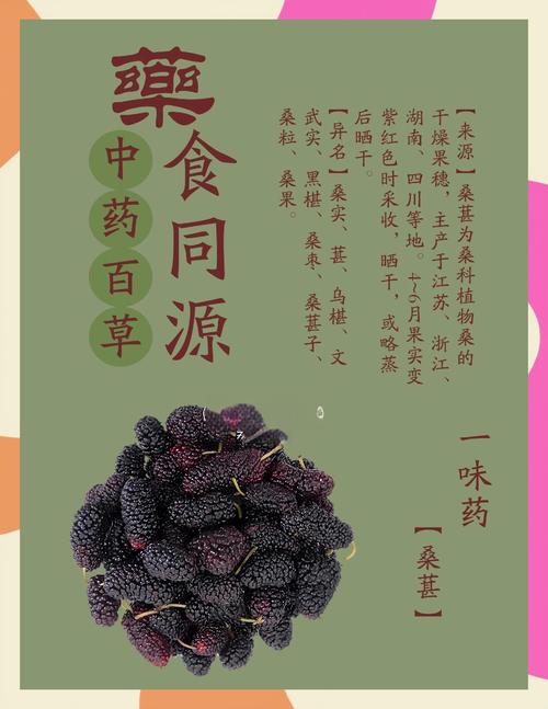 桑葚和什么相克