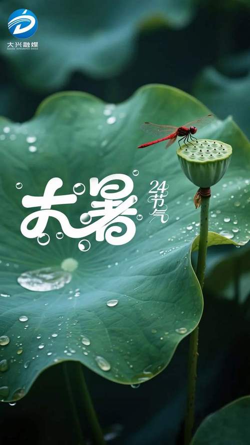 大暑是什么